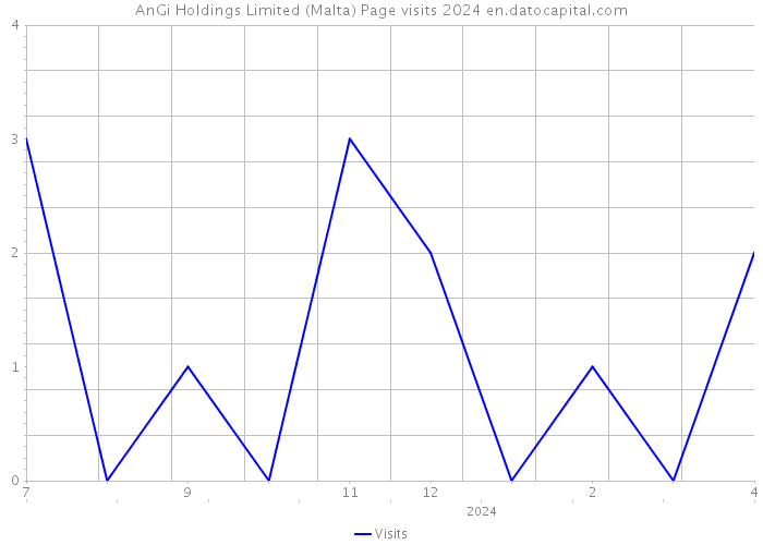 AnGi Holdings Limited (Malta) Page visits 2024 