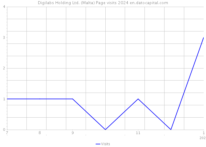 Digilabs Holding Ltd. (Malta) Page visits 2024 