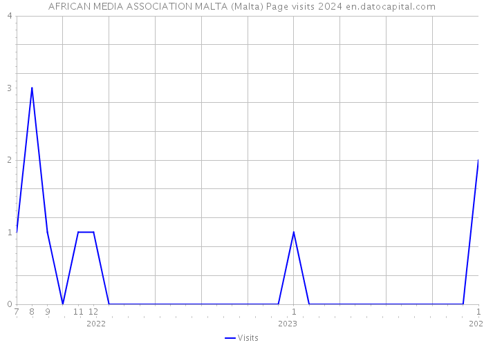 AFRICAN MEDIA ASSOCIATION MALTA (Malta) Page visits 2024 