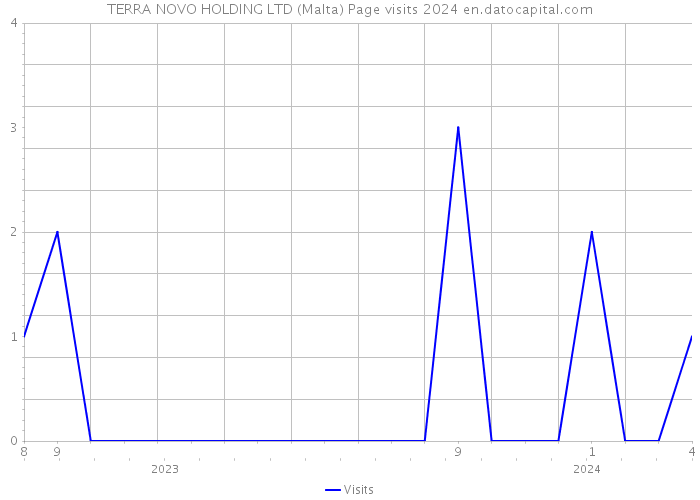 TERRA NOVO HOLDING LTD (Malta) Page visits 2024 