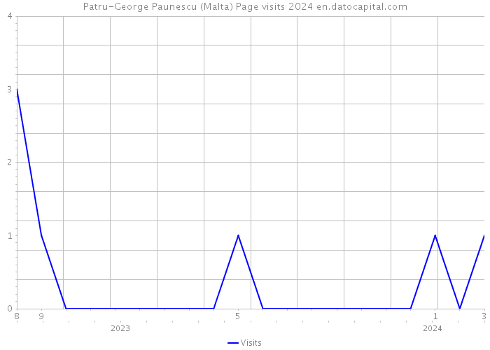 Patru-George Paunescu (Malta) Page visits 2024 