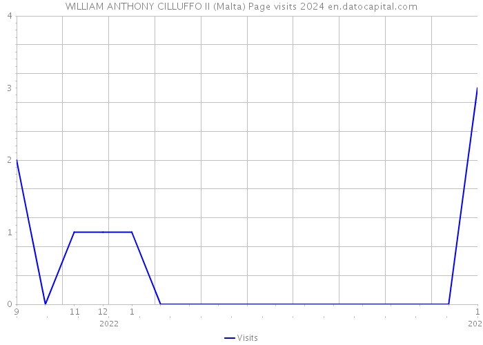 WILLIAM ANTHONY CILLUFFO II (Malta) Page visits 2024 