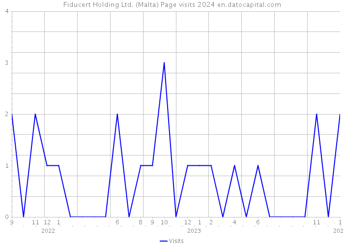 Fiducert Holding Ltd. (Malta) Page visits 2024 