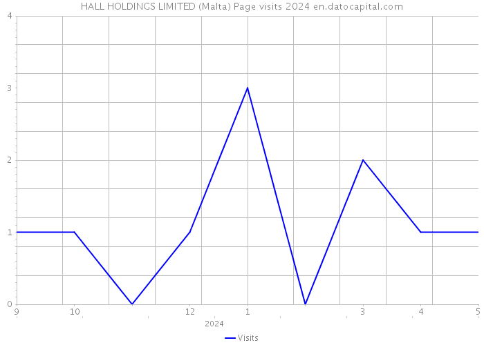 HALL HOLDINGS LIMITED (Malta) Page visits 2024 