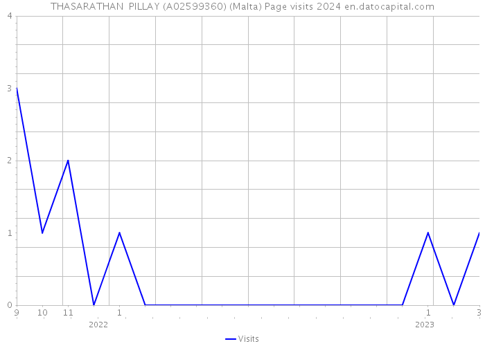 THASARATHAN PILLAY (A02599360) (Malta) Page visits 2024 