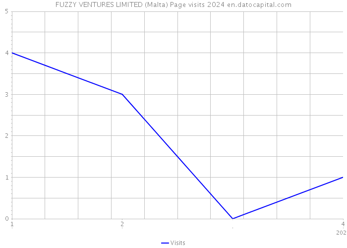 FUZZY VENTURES LIMITED (Malta) Page visits 2024 
