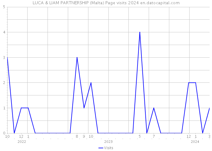 LUCA & LIAM PARTNERSHIP (Malta) Page visits 2024 