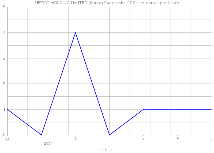 NETCO HOLDING LIMITED (Malta) Page visits 2024 