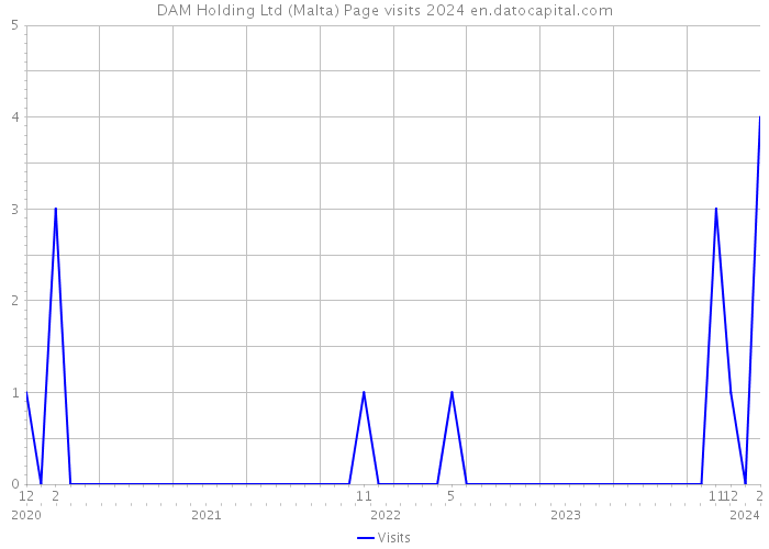 DAM Holding Ltd (Malta) Page visits 2024 