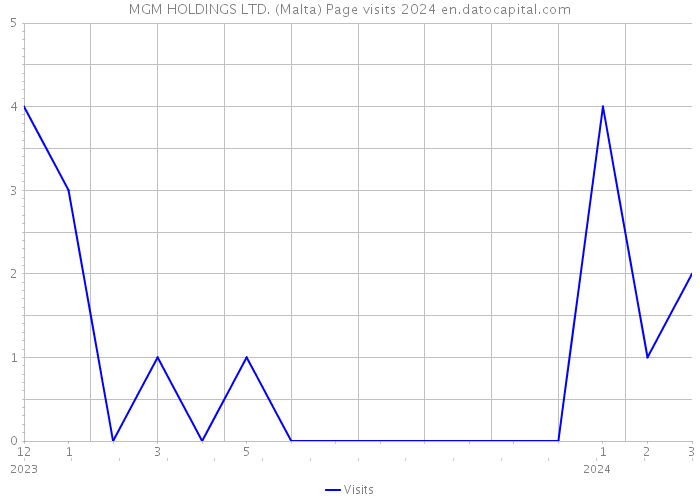 MGM HOLDINGS LTD. (Malta) Page visits 2024 