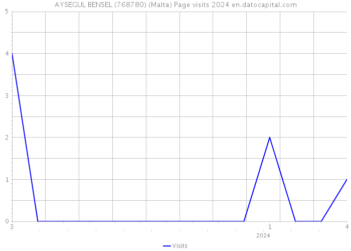 AYSEGUL BENSEL (768780) (Malta) Page visits 2024 
