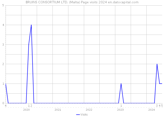 BRUINS CONSORTIUM LTD. (Malta) Page visits 2024 