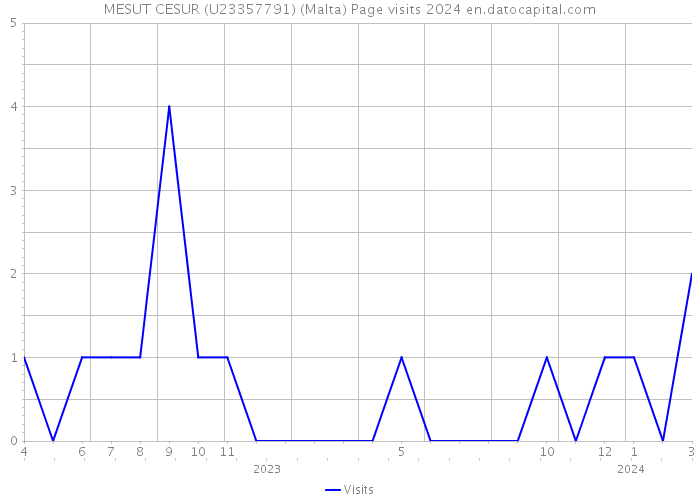 MESUT CESUR (U23357791) (Malta) Page visits 2024 