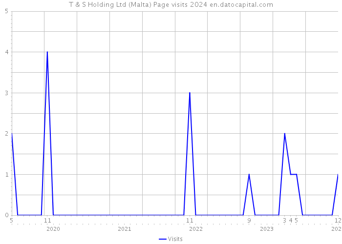 T & S Holding Ltd (Malta) Page visits 2024 
