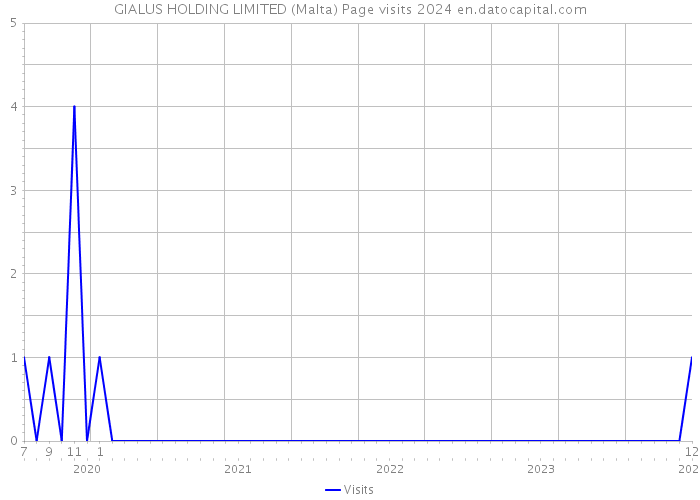 GIALUS HOLDING LIMITED (Malta) Page visits 2024 