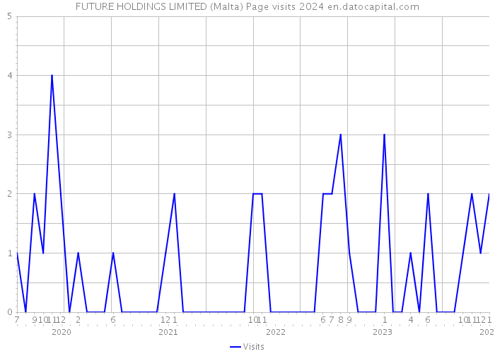 FUTURE HOLDINGS LIMITED (Malta) Page visits 2024 