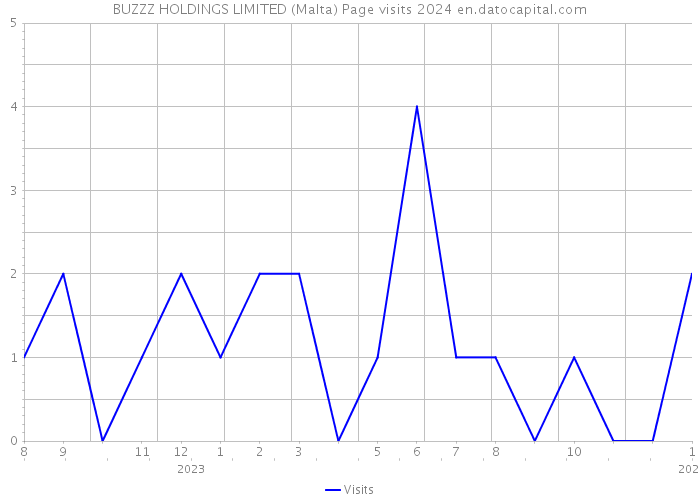 BUZZZ HOLDINGS LIMITED (Malta) Page visits 2024 