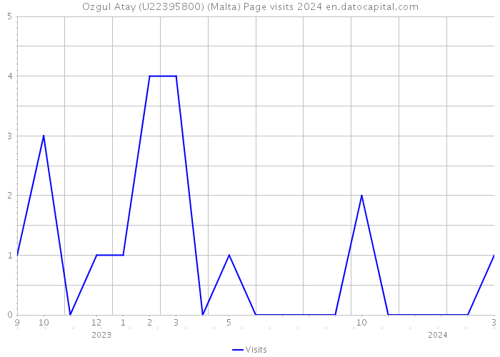 Ozgul Atay (U22395800) (Malta) Page visits 2024 