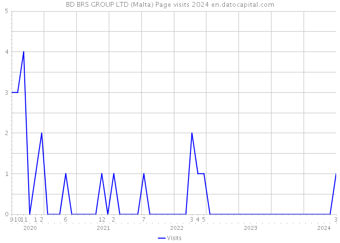 BD BRS GROUP LTD (Malta) Page visits 2024 