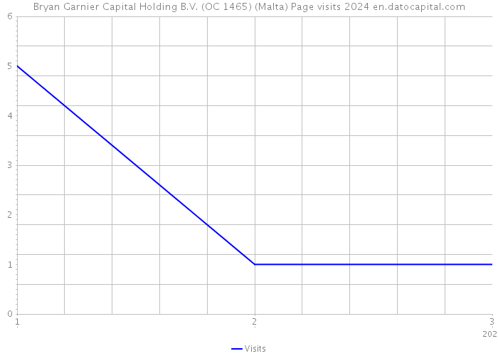 Bryan Garnier Capital Holding B.V. (OC 1465) (Malta) Page visits 2024 
