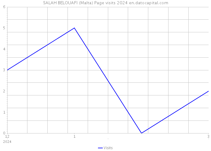 SALAH BELOUAFI (Malta) Page visits 2024 