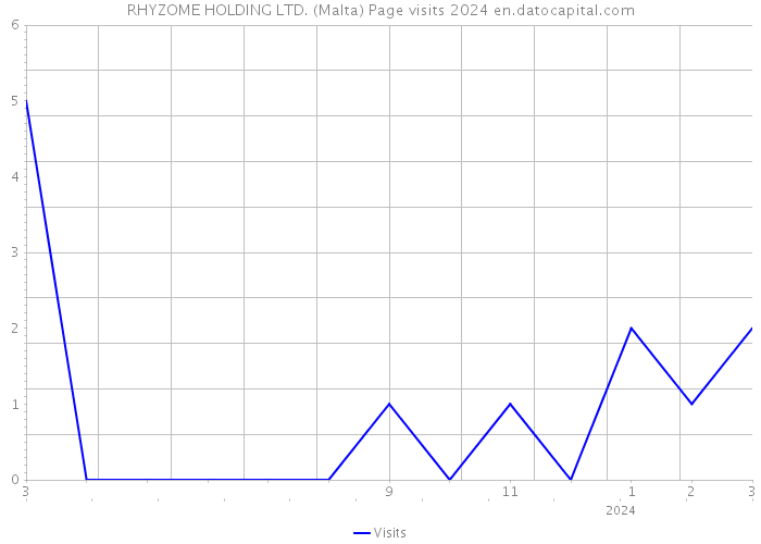 RHYZOME HOLDING LTD. (Malta) Page visits 2024 