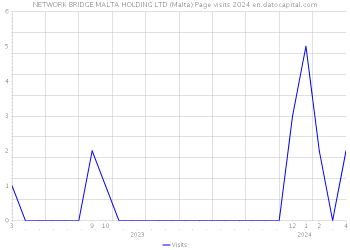 NETWORK BRIDGE MALTA HOLDING LTD (Malta) Page visits 2024 