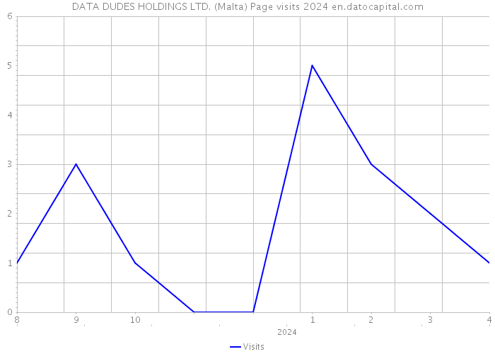 DATA DUDES HOLDINGS LTD. (Malta) Page visits 2024 