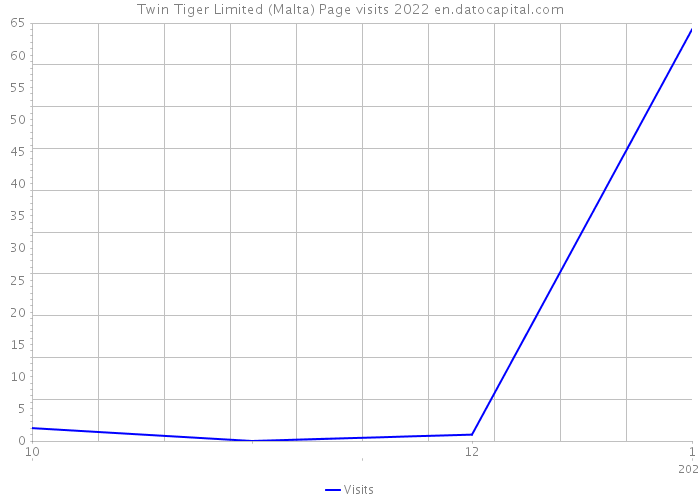 Twin Tiger Limited (Malta) Page visits 2022 