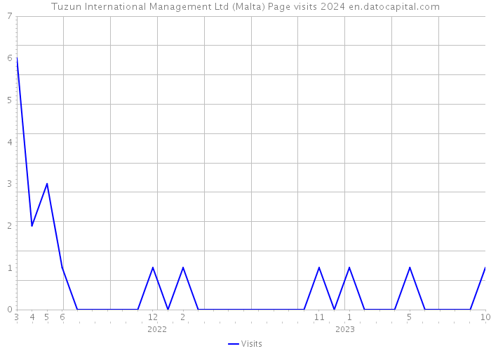 Tuzun International Management Ltd (Malta) Page visits 2024 