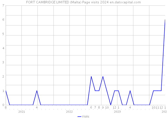 FORT CAMBRIDGE LIMITED (Malta) Page visits 2024 