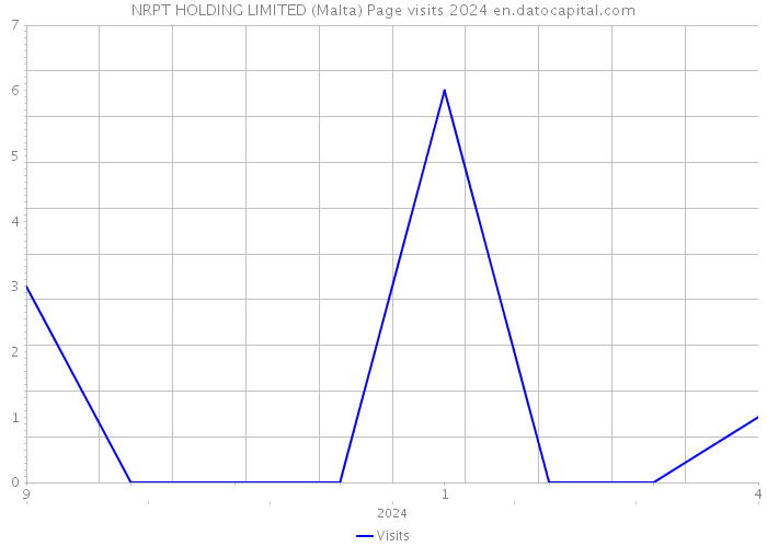 NRPT HOLDING LIMITED (Malta) Page visits 2024 