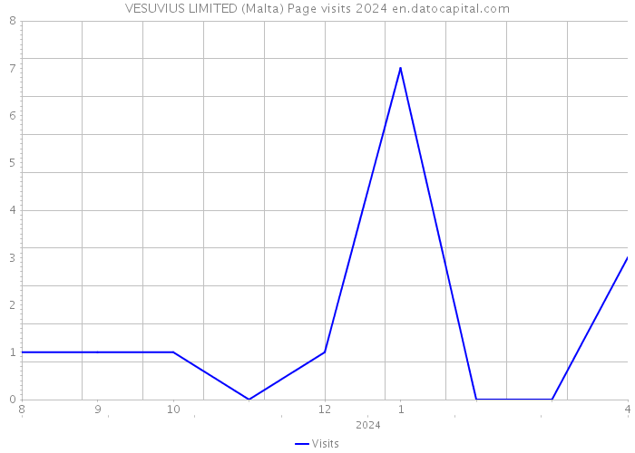 VESUVIUS LIMITED (Malta) Page visits 2024 