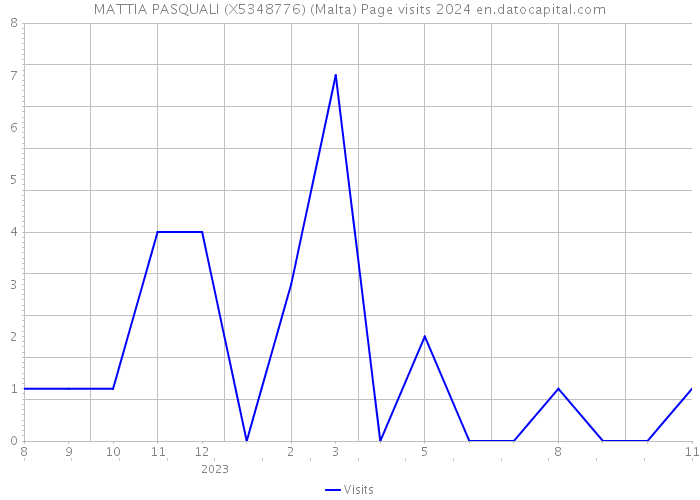 MATTIA PASQUALI (X5348776) (Malta) Page visits 2024 
