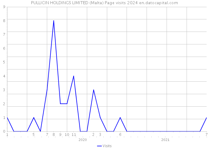 PULLICIN HOLDINGS LIMITED (Malta) Page visits 2024 